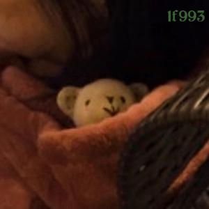 LilLilbear(Mai 玩具盒 bonus)