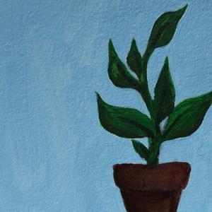 Houseplants (feat. Joshua Mandlburger)