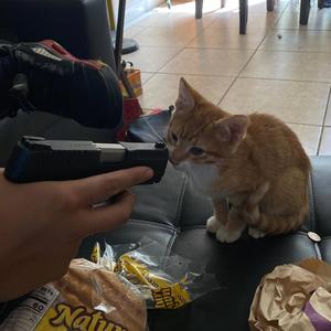 crescendo