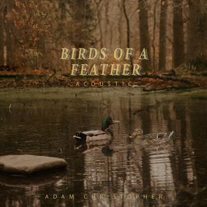 Birds of a Feather (Acoustic)
