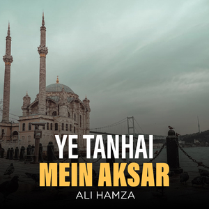 Ye Tanhai Mein Aksar