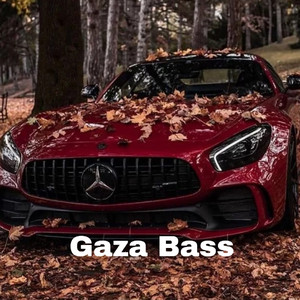 Gaza bass