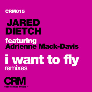 I Want to Fly (feat. Adrienne Mack-Davis) (dBerrie Remix)