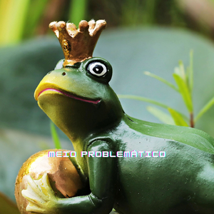 Meio Problemático