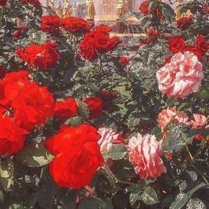 【FREE】“S u i B i a n”