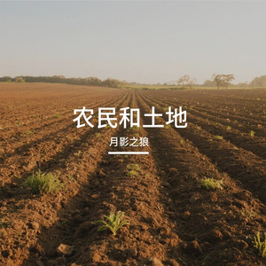 农民和土地