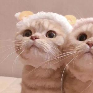 口是心非（女生版）