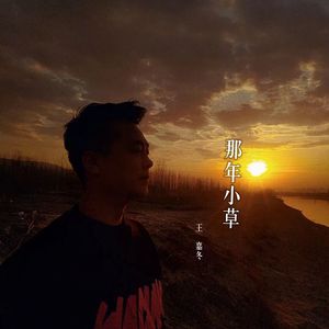 那年小草
