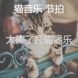 抚慰的睡猫回忆