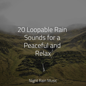 Windy Rain on Pavement