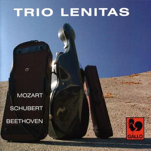 String Trio in B-Flat Major D. 471: Allegro