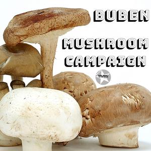 Decriminalise Magic Mushrooms