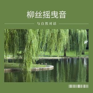 柳岸烟 (葫芦丝)