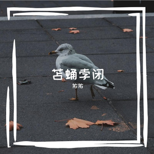 苫蛹孛闭