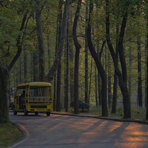 粉红气泡夏天（Prod.byGr33nart）