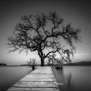 Drift Into Stillness