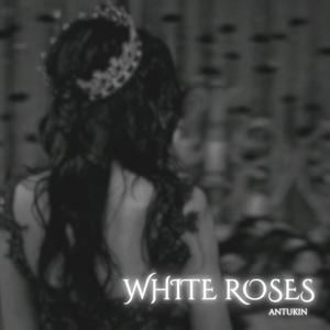 White Roses