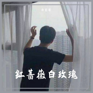 红蔷薇白玫瑰(DJ白宏哲版） 伴奏