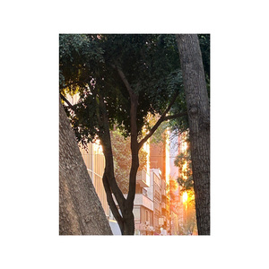 Luego Veo Que Hago Con Esta Base/Beat Pero por Lo Pronto Se los Dejo