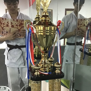 世界が終わるまでは...('WANDS!' Cover)