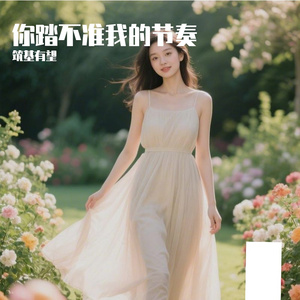 你踏不准我的节奏