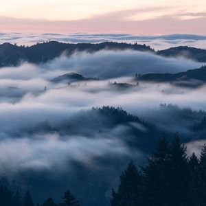 烟影如画(笛子版)