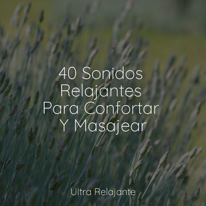 Danzas Del Río