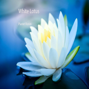 White Lotus