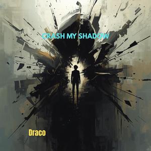 CRASH MY SHADOW