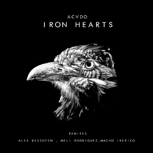 Iron Heart (Original Mix)