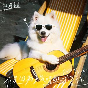 不是因为天气晴朗才爱你