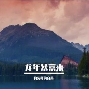 智慧与传承pro