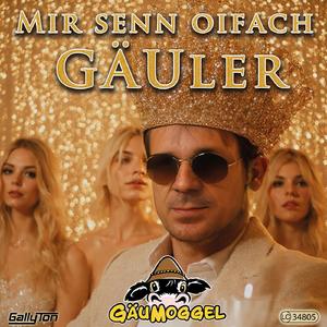 Mir senn oifach Gäuler