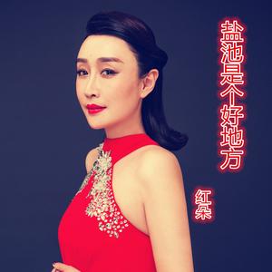 盐池是个好地方 伴奏