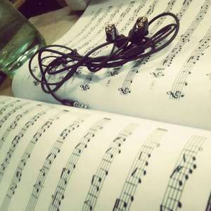 羞答答的玫瑰静悄悄地开