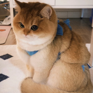 地铁里空荡的心