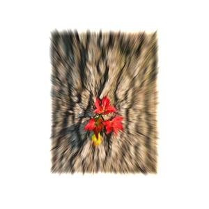 1million (feat. Bvrnes)