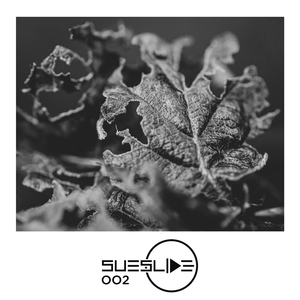 Frames (Stephan Zovsky & Dan Cero Remix)