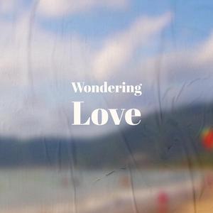 Dreamland Last Night