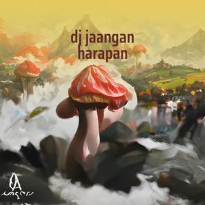 Dj Jaangan Harapan