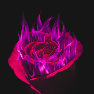 Don't Go Back Tonight （feat.雾海）