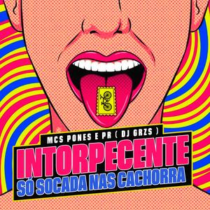 Intorpecente Só Socada Nas Cachorra