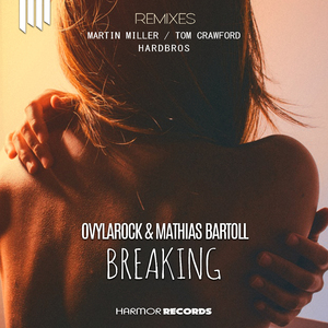 Breaking (Tom Crawford Remix)
