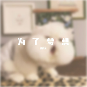 伴奏 - 为了梦想