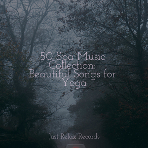 Whispers in Aeolian Dreams