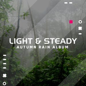 Rain in the Back Garden