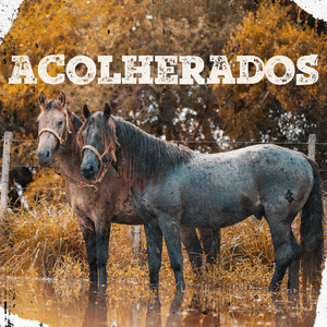 Acolherados