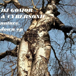 Glorious Day (Original Mix)