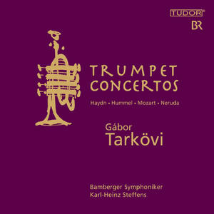 Trumpet Concerto No. 17 in E-Flat Major, Hob.VIIe:1:III. Allegro