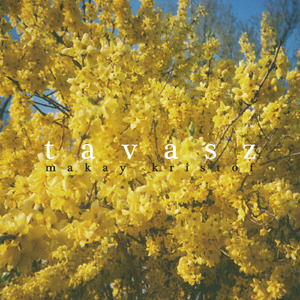Tavasz
